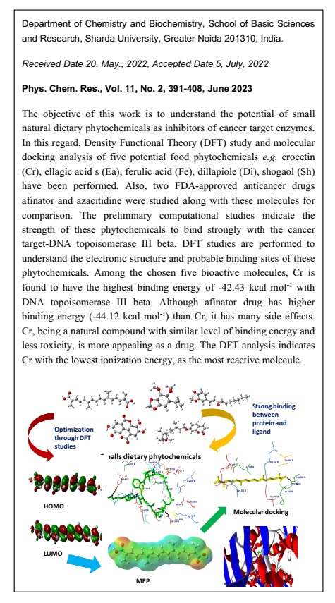 A Comparative Study Through DFT Investigation and Molecular Docking Studies of Potential Dietary Phytochemicals Against Cancer Target-DNA Topoisomerase III 