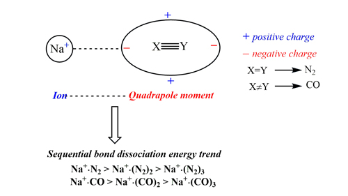 Ab initio Study of the Na+(CO)13 and Na+(N2)13 Complexes