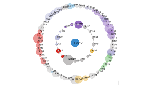 Novel Chemical Compounds Based on 1,2,3-Triazoles as Potential Mycobacterium Tuberculosis Inhibitors. In-silico Study through Pharmacophore Modeling, Molecular Docking, Molecular Dynamics, and ADMET Predictions