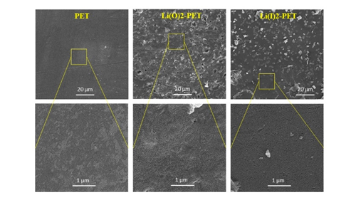 Lithiated Polyethylene Terephthalate as a Polymer Electrolyte Membrane with High Li-ion Conductivity for Advanced Lithium Batteries