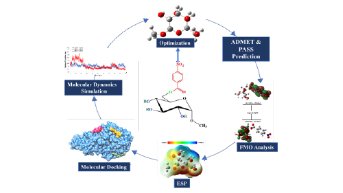 Quantum Computational, Molecular Docking, Dynamics, PASS, and ADMET Analyses of Methyl α-D-Glucopyranoside Derivatives