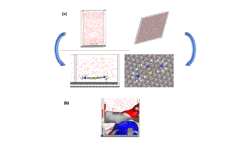 Methylene Blue Dye Removal Using Activated Carbon Derived from Argan Kernels: Experimental and Computational Studies