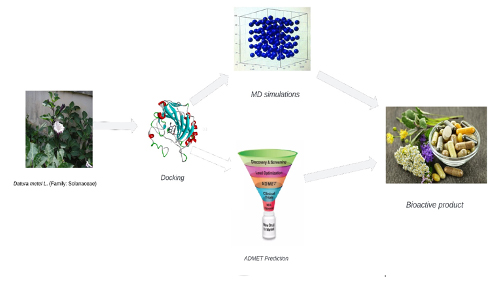 The Main Chemical Constituents Responsible for the Antidiabetic Properties of the Datura Metel L Plant. Decryption and In-silico Investigations